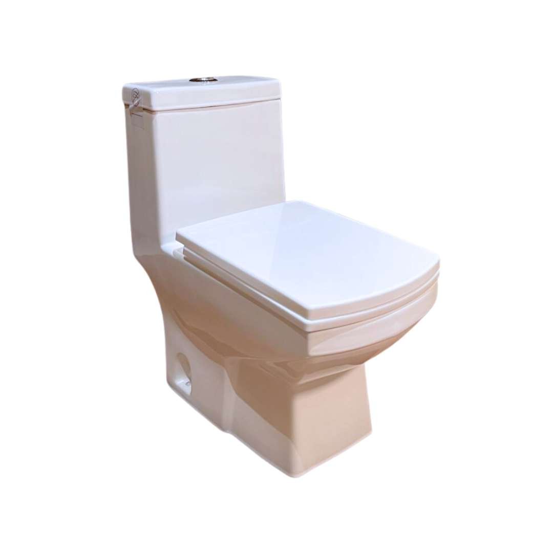 Modern One-Piece Ceramic WC